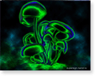 adobe photoshop , обои для рабочего стола , грибы, многим наверное знакомы обои с такими же голубыми грибочками, но я решила немножко изменить их цвета...)(1024/768)