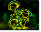 adobe photoshop , обои для рабочего стола , многим наверное знакомы обои с такими же голубыми грибочками, но я решила немножко изменить их цвета...)(золото)(1024/768)