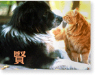 иероглиф мудрости , японский иероглиф мудрость , обои кошки и собаки , иероглифы обои , китайский иероглиф дружба , скачать обои +с собаками , обои животные собаки , красивые обои +с кошками
