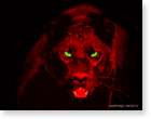 adobe photoshop , обои для рабочего стола , пантера ,для тех кому нравиться красный цвет ) (1024/768)