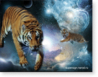 тигр, фэнтези тигр, рисунок тигра, тигры картинки, бесплатные картинки животные тигр, животное тигр, обои рабочего стола тигр, обои тигры , иероглиф кошка , иероглиф японский кошка , фото тигра на рабочий стол , стилизованный тигр , живопись тигр , тигр бегущий , тигр серебрянный , изображение белого тигра , заставки новогодние год тигра , добрый тигр , фэнтези тигры , обои календарь тигры , 
год желтого тигра обои , обои новый год тигра прикольные , обои для раб стола тигры , обои для рабочего стала тигр , обои огненный тигр , прикольные обои год тигра 2010 , широкоформатные обои год тигра , белый тигр календарь обои , тигр символ нового года обои , обои новогодний жёлтый тигр , гот тигра обои , обои с тиграми рисунки , обои тигр бежит 